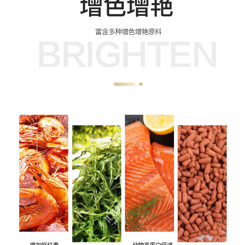 仟湖OF龙鱼饲料龙鱼专用鱼粮食金龙红龙增色G2粮 500g