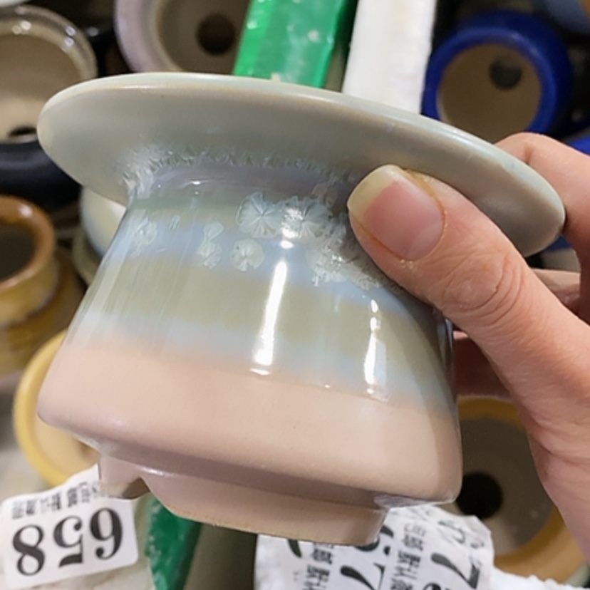 【闪购商品】红陶口7