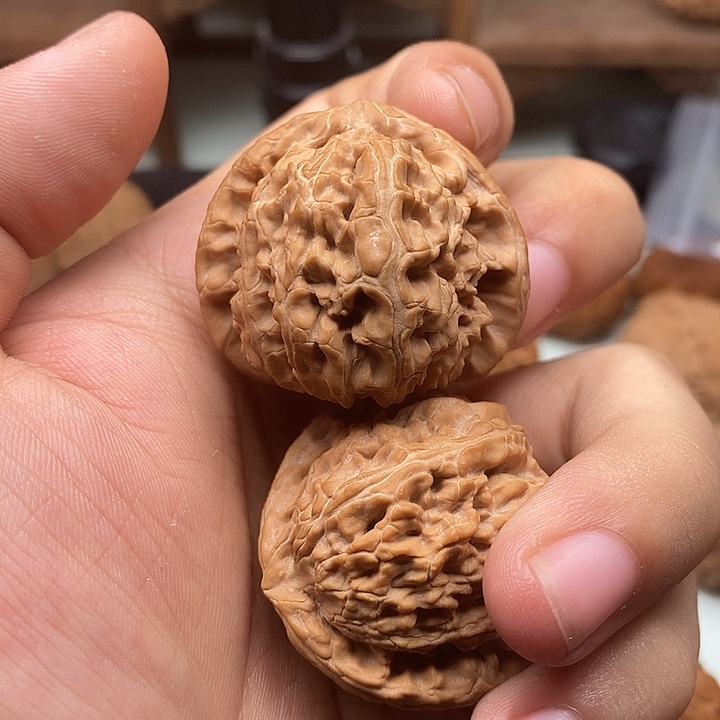 文玩核桃把件38全品白狮子