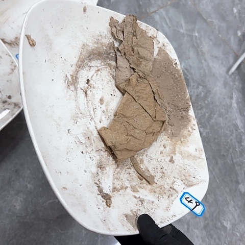 瓷片国营厂库存24厘米49