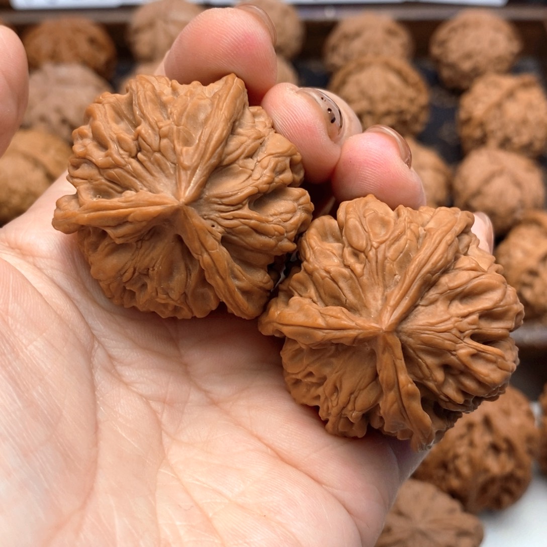 把件文玩核桃41尺全品牡丹花王奔