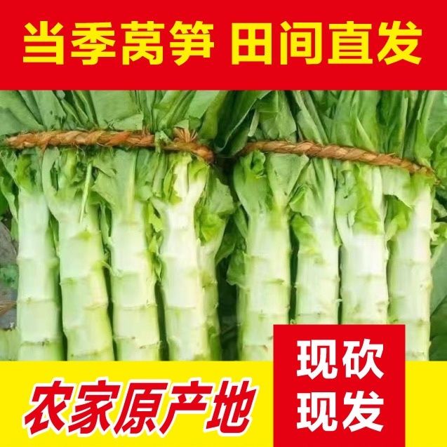 当季新鲜莴笋现砍现发农家带叶绿窝苣新鲜蔬菜绿心莴笋新鲜蔬菜