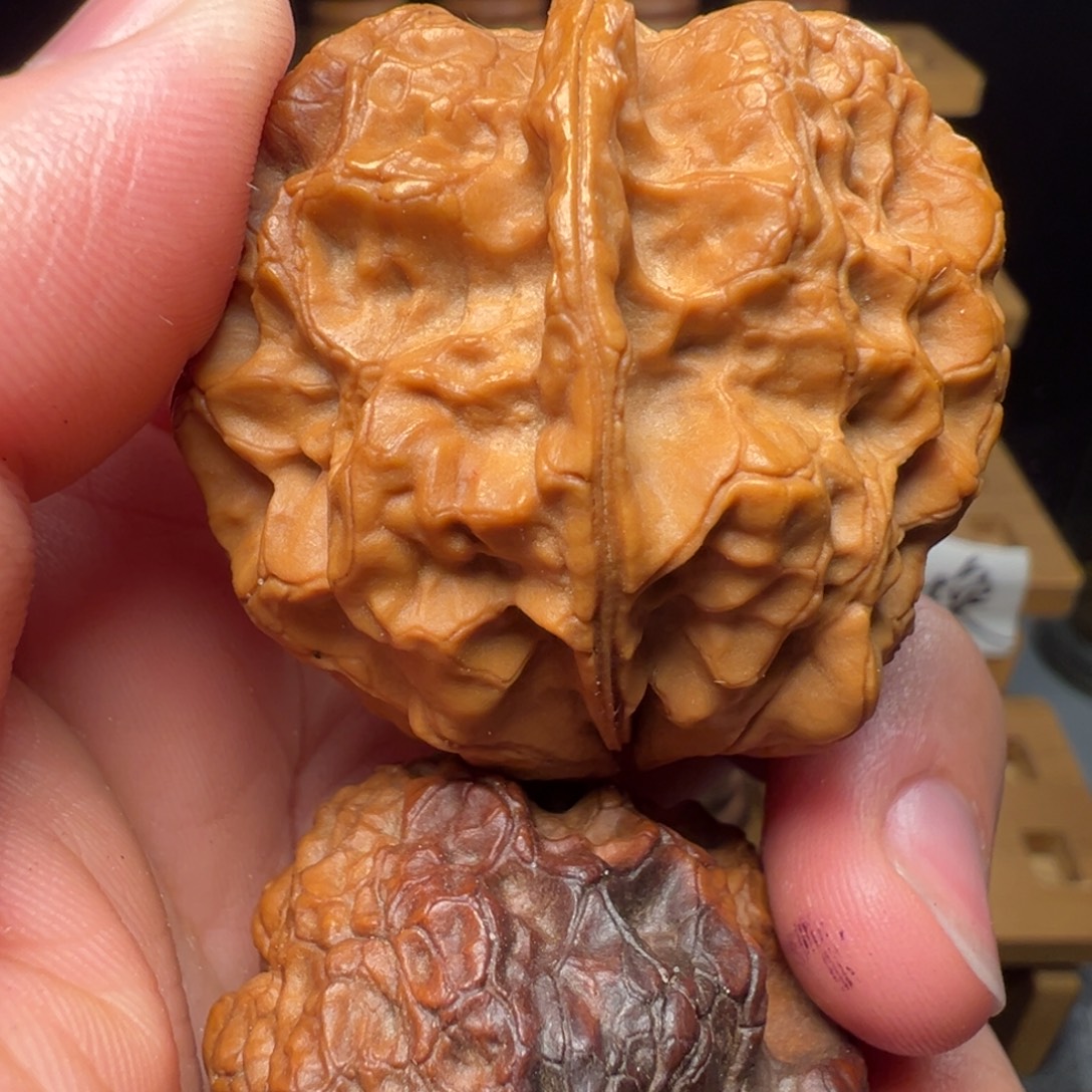 吊坠文玩核桃七彩皇冠42mm