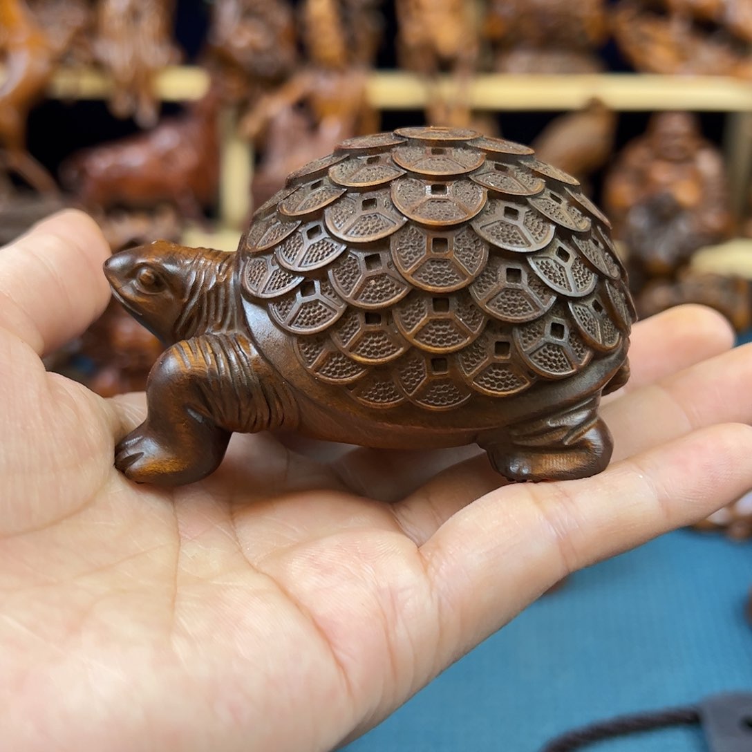 黄杨木小叶黄杨木