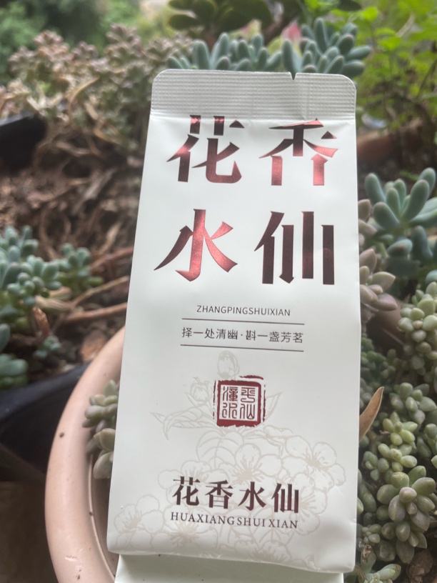 漳平水仙标准教学样（竞赛入围茶）岩桂型、兰馨型，5泡