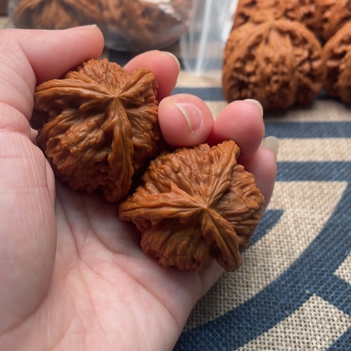 十***室核桃白狮子38核桃