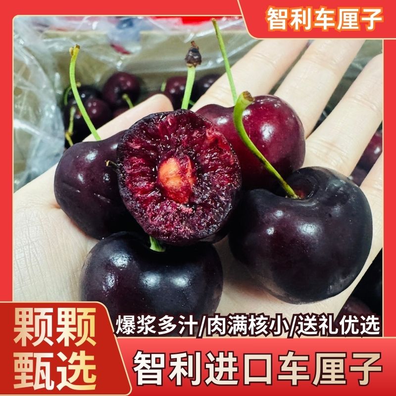 智利空运桑提娜车厘子2JD升级3JD顺丰包邮硬脆多汁 坏果包赔 内附果径卡800gW0桑提娜樱桃智利共和国