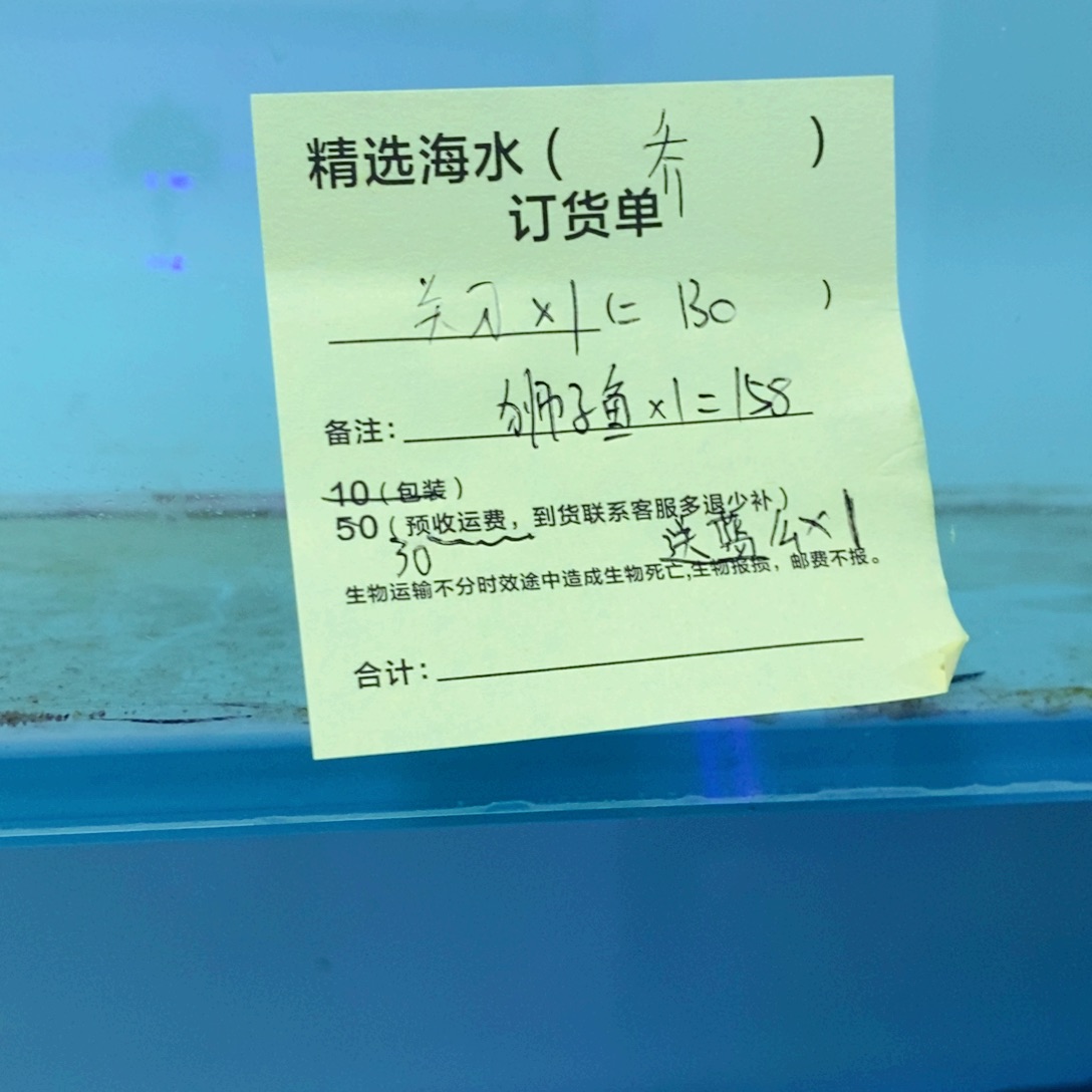 海水鱼关刀➕狮子鱼➕蓝魔