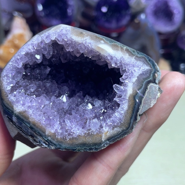 森林钱袋子未镶嵌紫晶