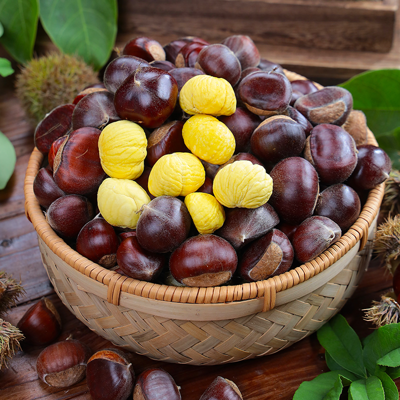 彝丽老品种板栗（特大果）粉糯香甜云南老品种毛栗子