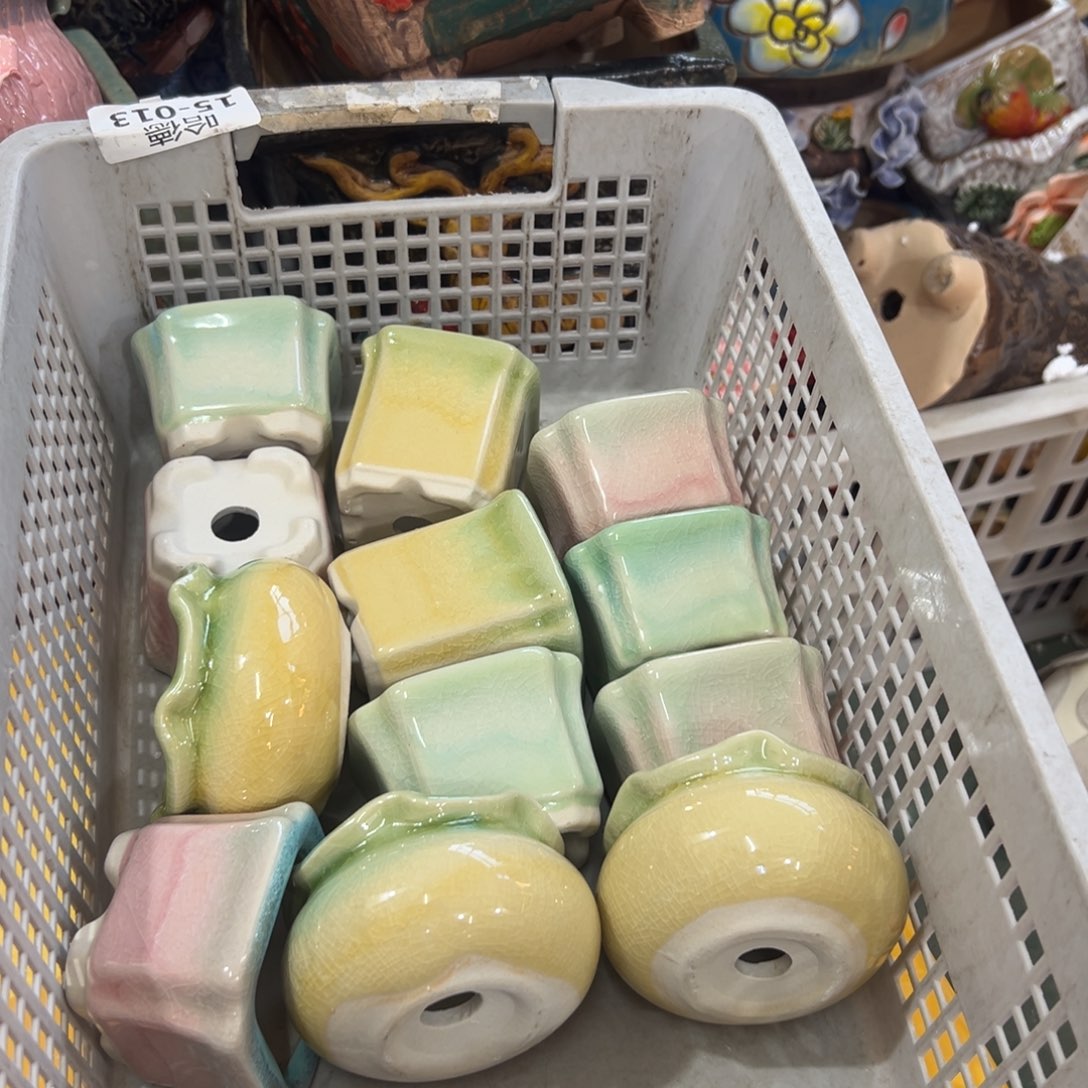 随机12个花盆满20元发货，退款拉黑