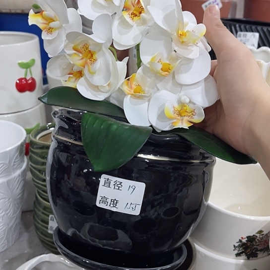 多肉绿植陶瓷花盆9.9包邮，有孔
