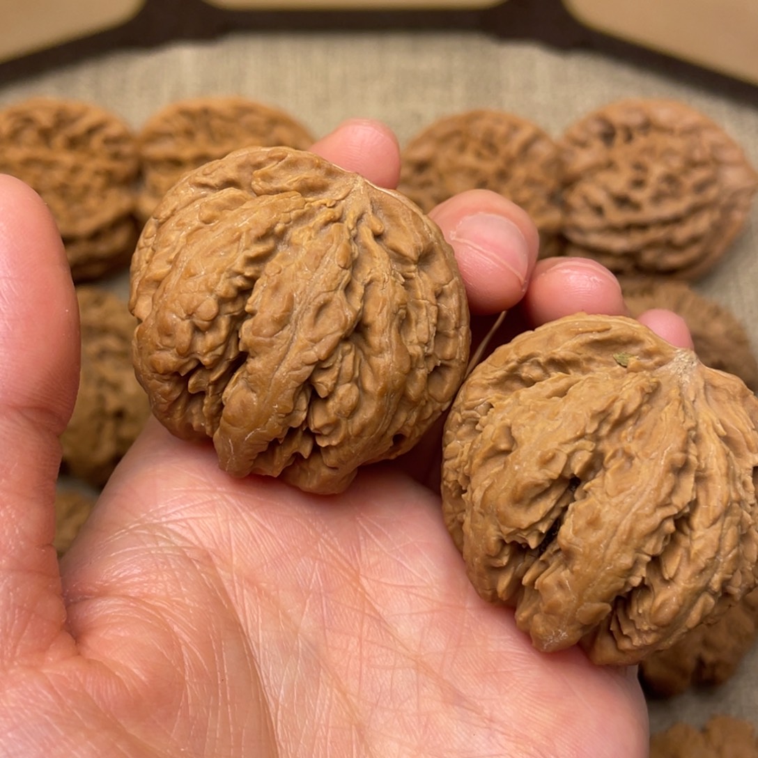 M***u核桃秦岭核桃17号