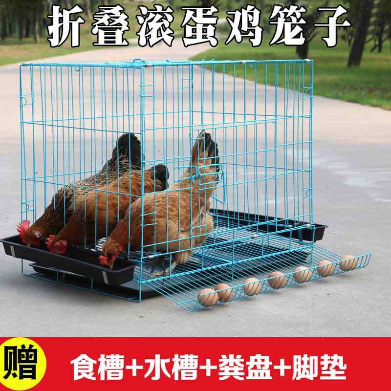 【3990人好评】鸡笼子养鸡笼家用小号蛋鸡笼鹌鹑养殖笼自动滚蛋折叠