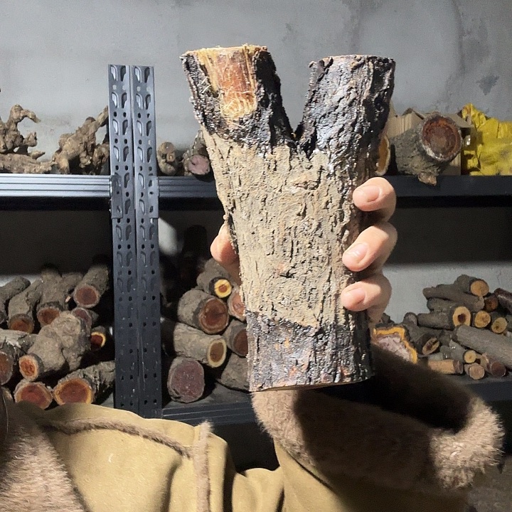 芩***衿香榧木火琉璃的故事是一个