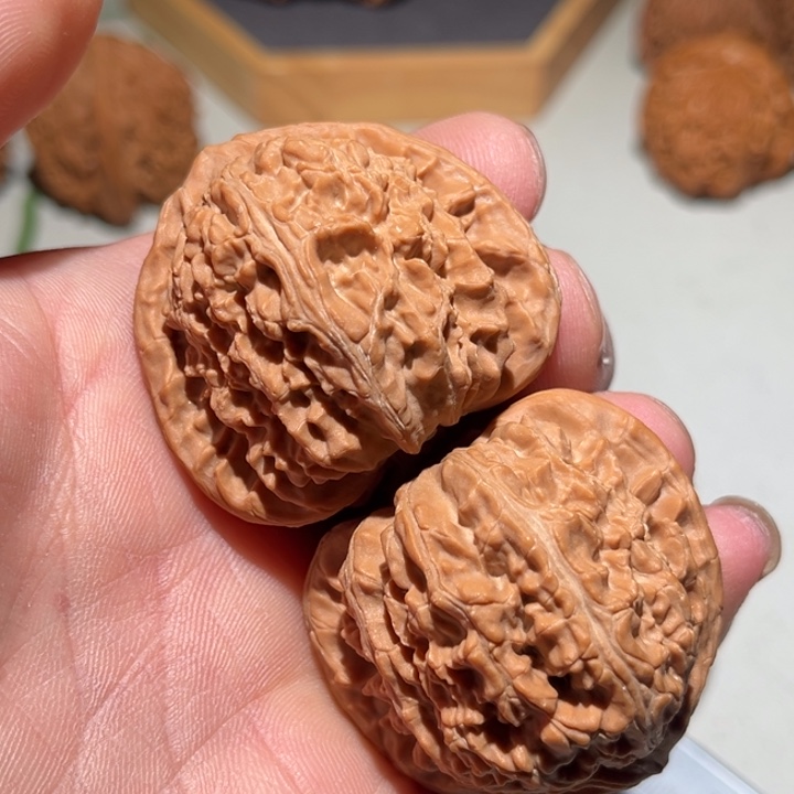 肉****文玩核桃把件43白狮子