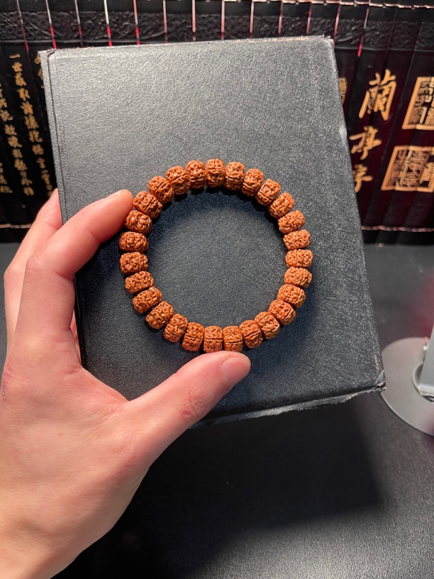 精选盘龙单圈：21号