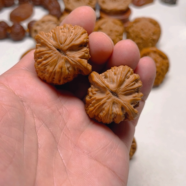 文玩核桃把件u*精品白狮子 边36编号2569