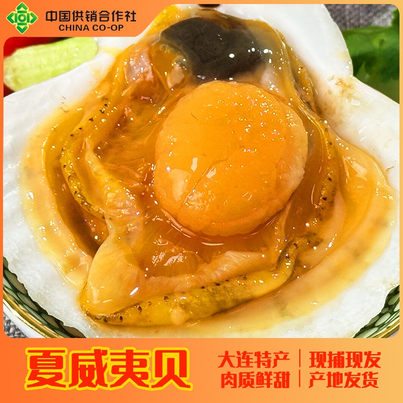 净重2斤大连优质鲜活虾贻贝