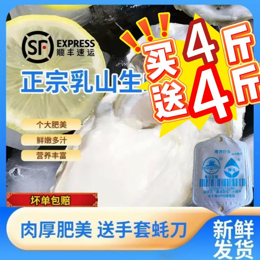 【巨无霸7X】正宗乳山免洗级生蚝买4斤送4斤海鲜水产海蛎子新鲜牡蛎