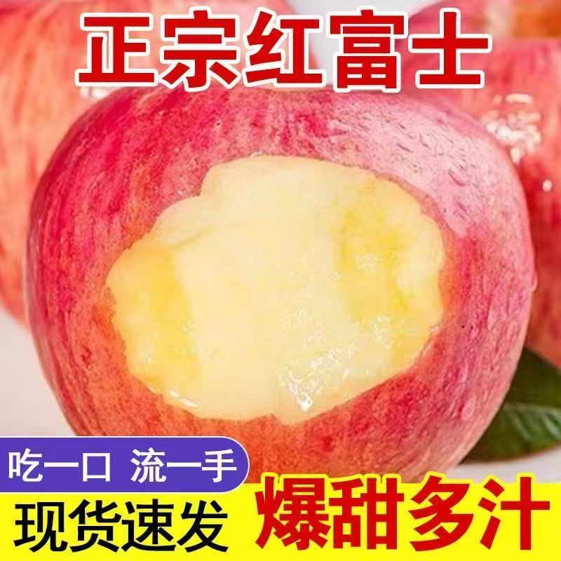 【山东烟台直发】山东烟台红富士当季水果苹果香甜可口肉厚多汁
