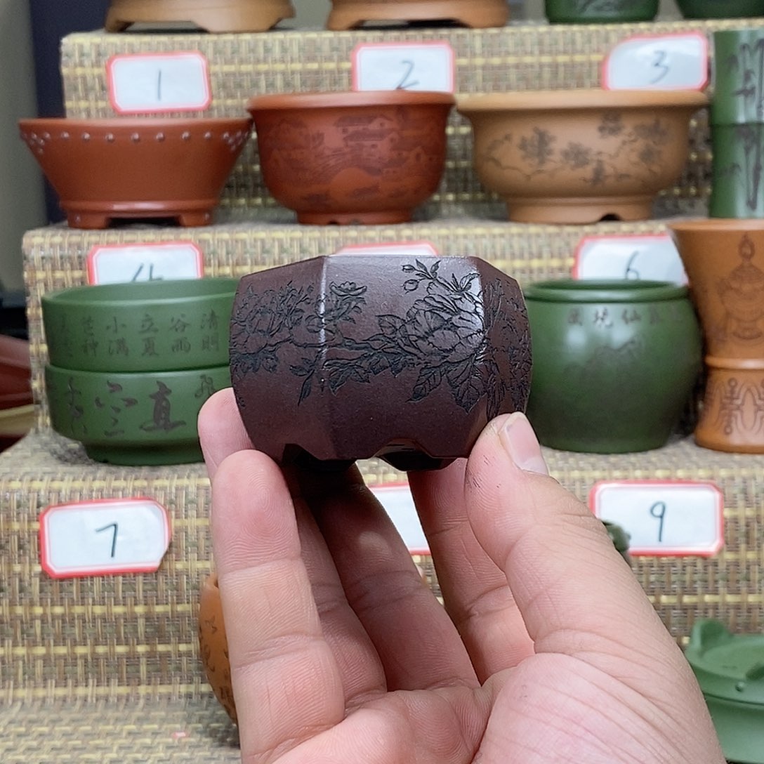 紫砂花盆这就是一群