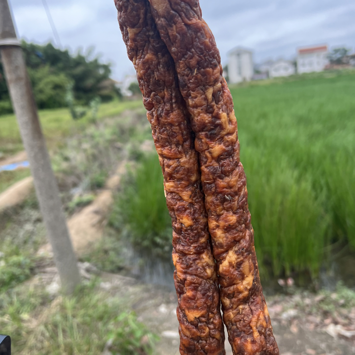 传统烟熏原味香肠农家正宗特色风味香肠