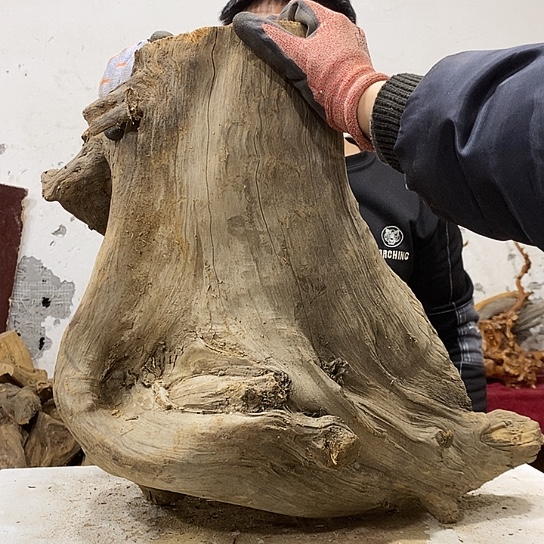 积***园柏木我们都是好孩子