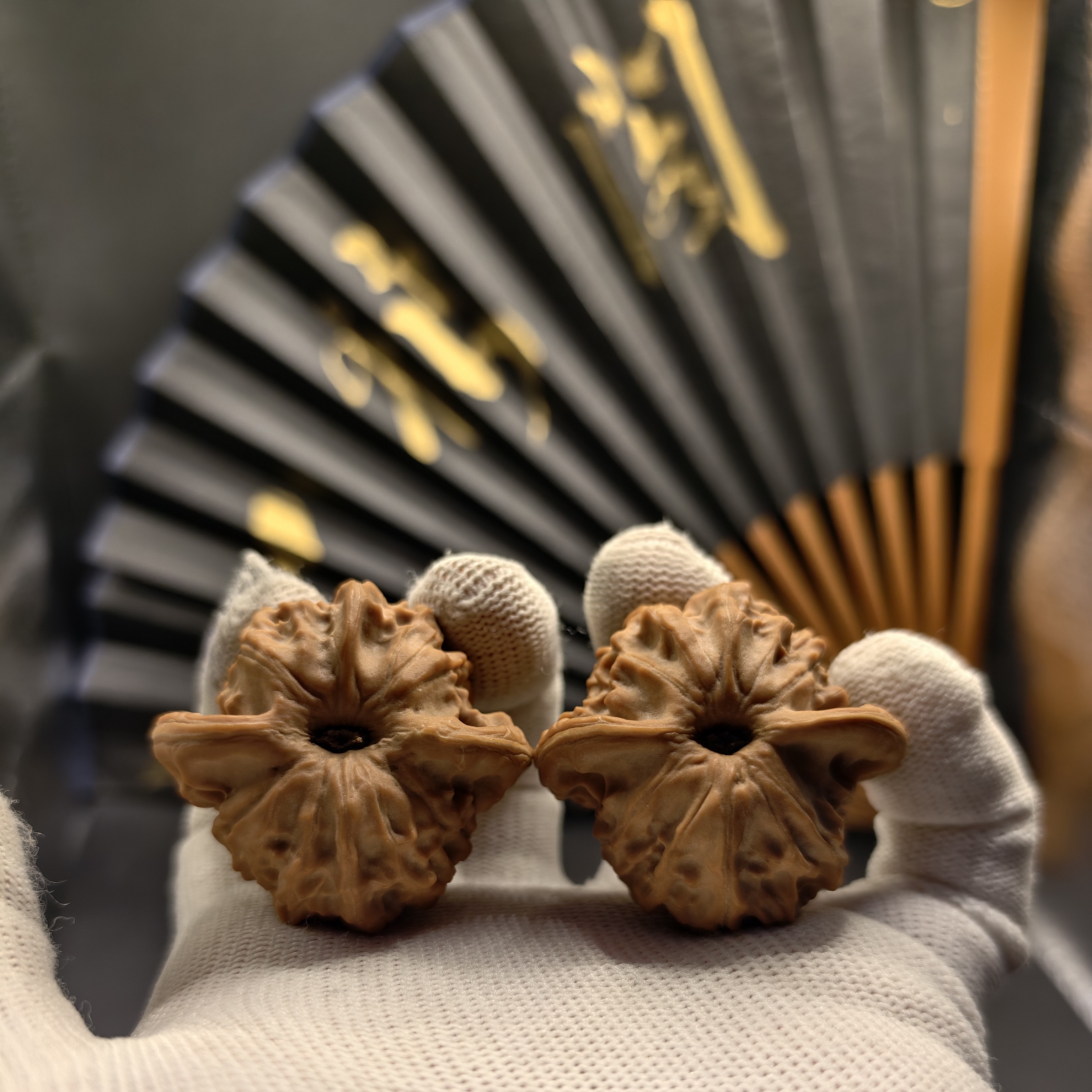 d4301全品精选 大耳朵图图文玩核桃43/41/35新果天然原生态油性