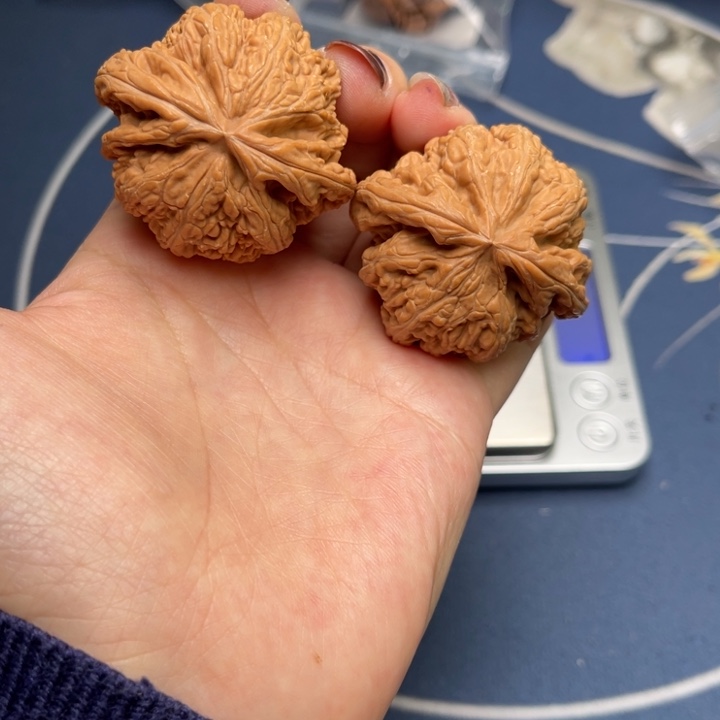 文玩核桃把件粗筋44