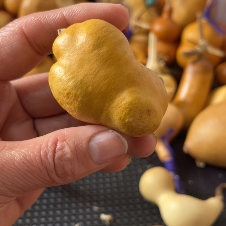 ****盐葫芦哈哈哈哈哈哈哈哈