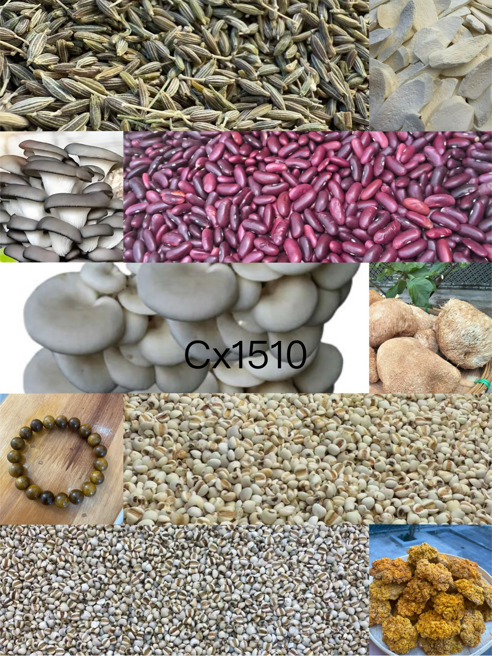 【孙哥专属土特产Cx-1510】多样性发货 重量10克左右