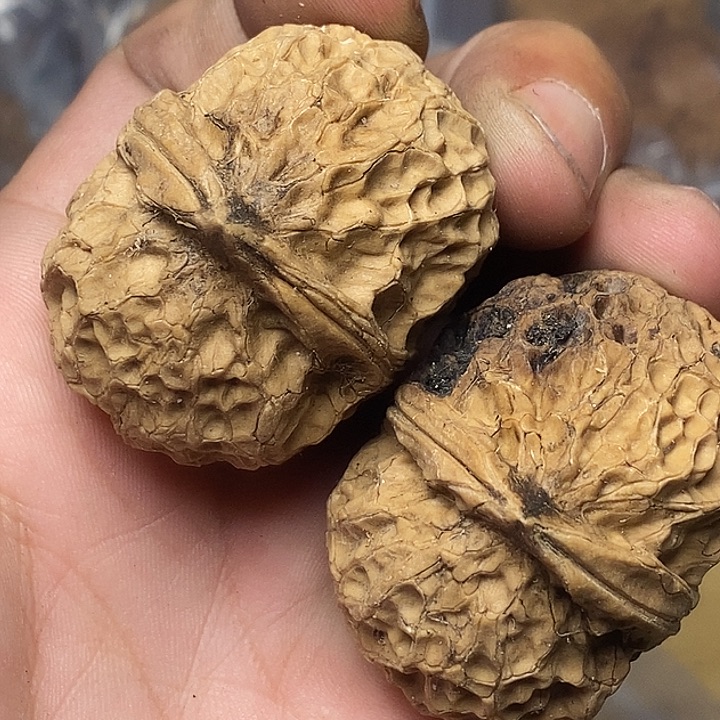 文玩核桃把件云南铁核桃A85