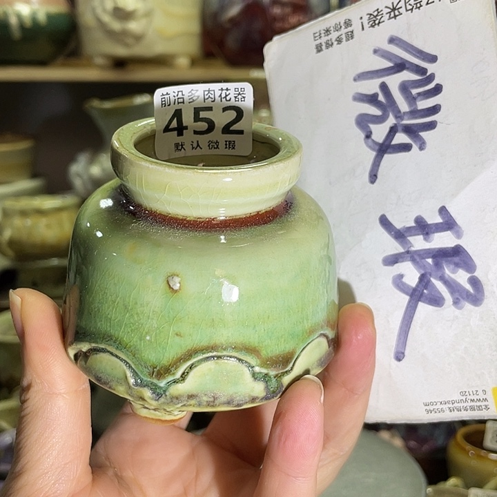 狼盆内口径4高度6