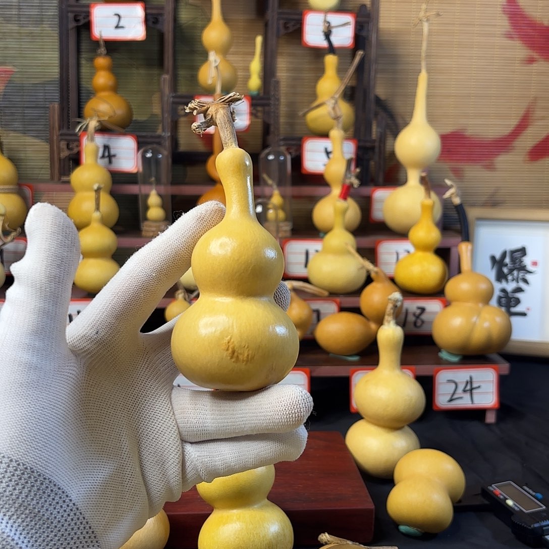 看好下单不退不换