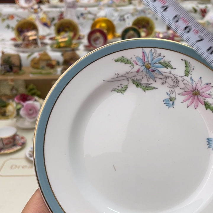 盘维多利亚欧洲中古