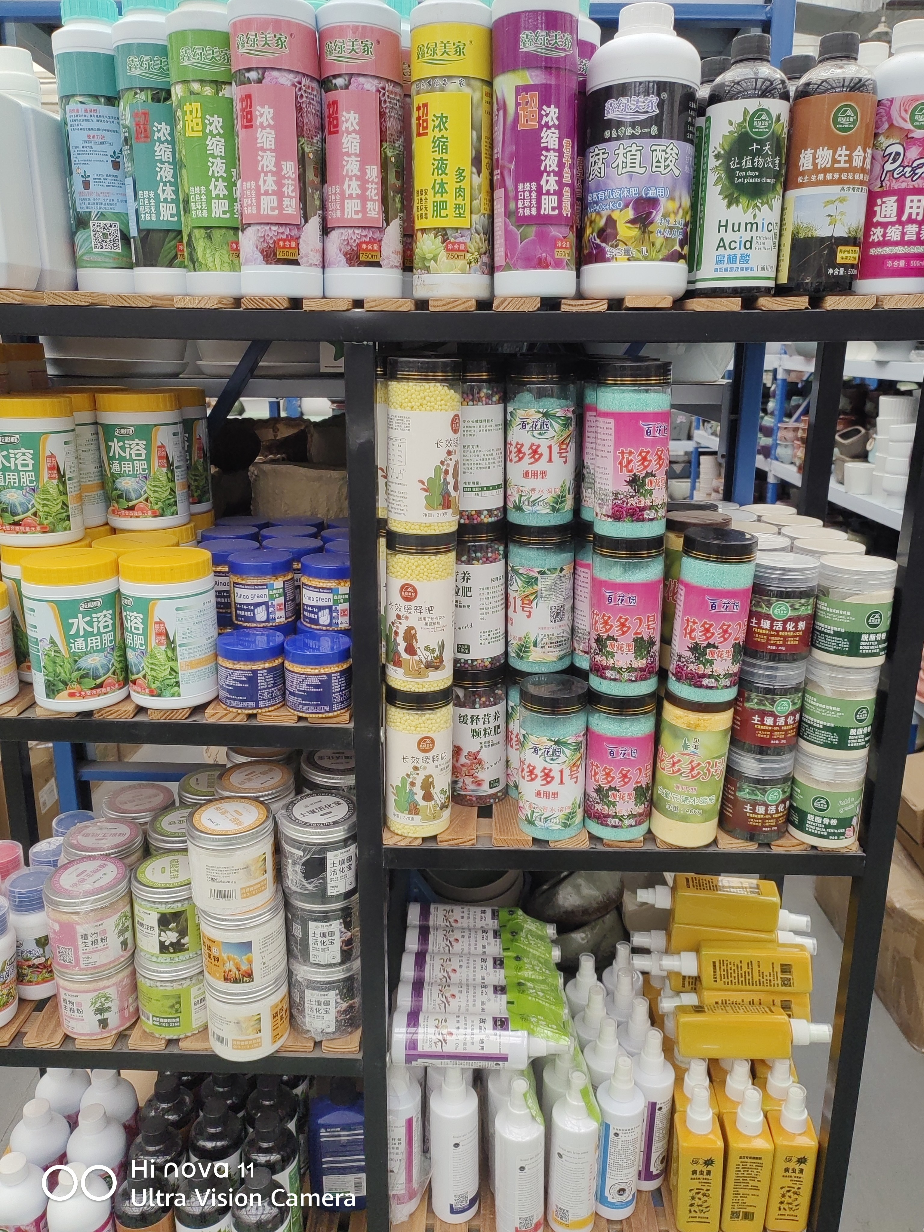 花卉养护治理方案