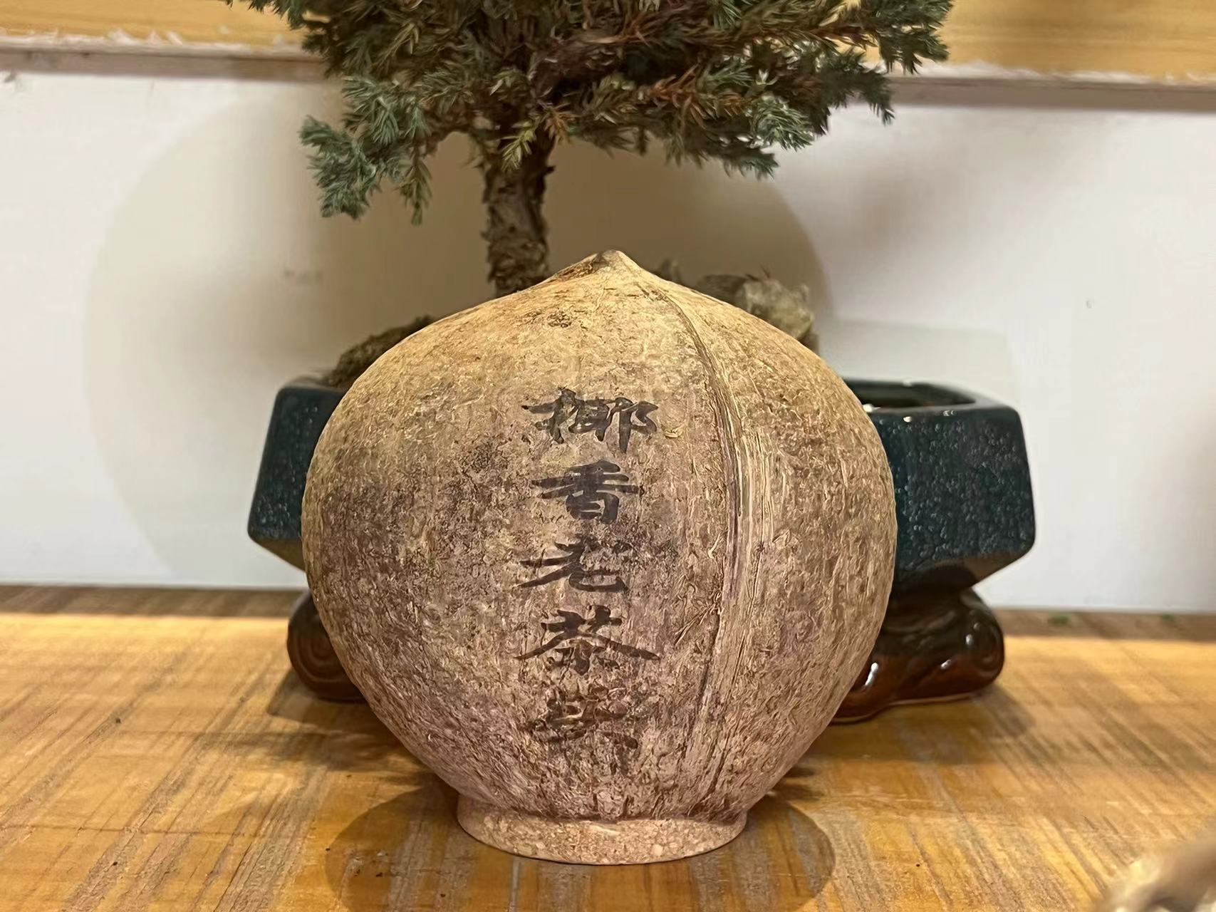 【老涛的茶话馆 】2023年云南大叶种1998年原料250g椰香老茶头T0180