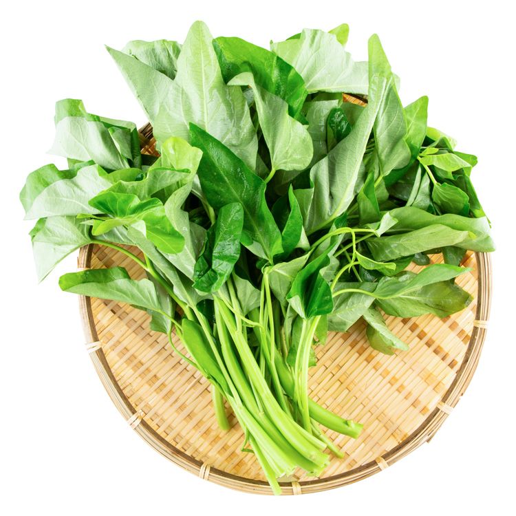 【爆款】新鲜空心菜约150g