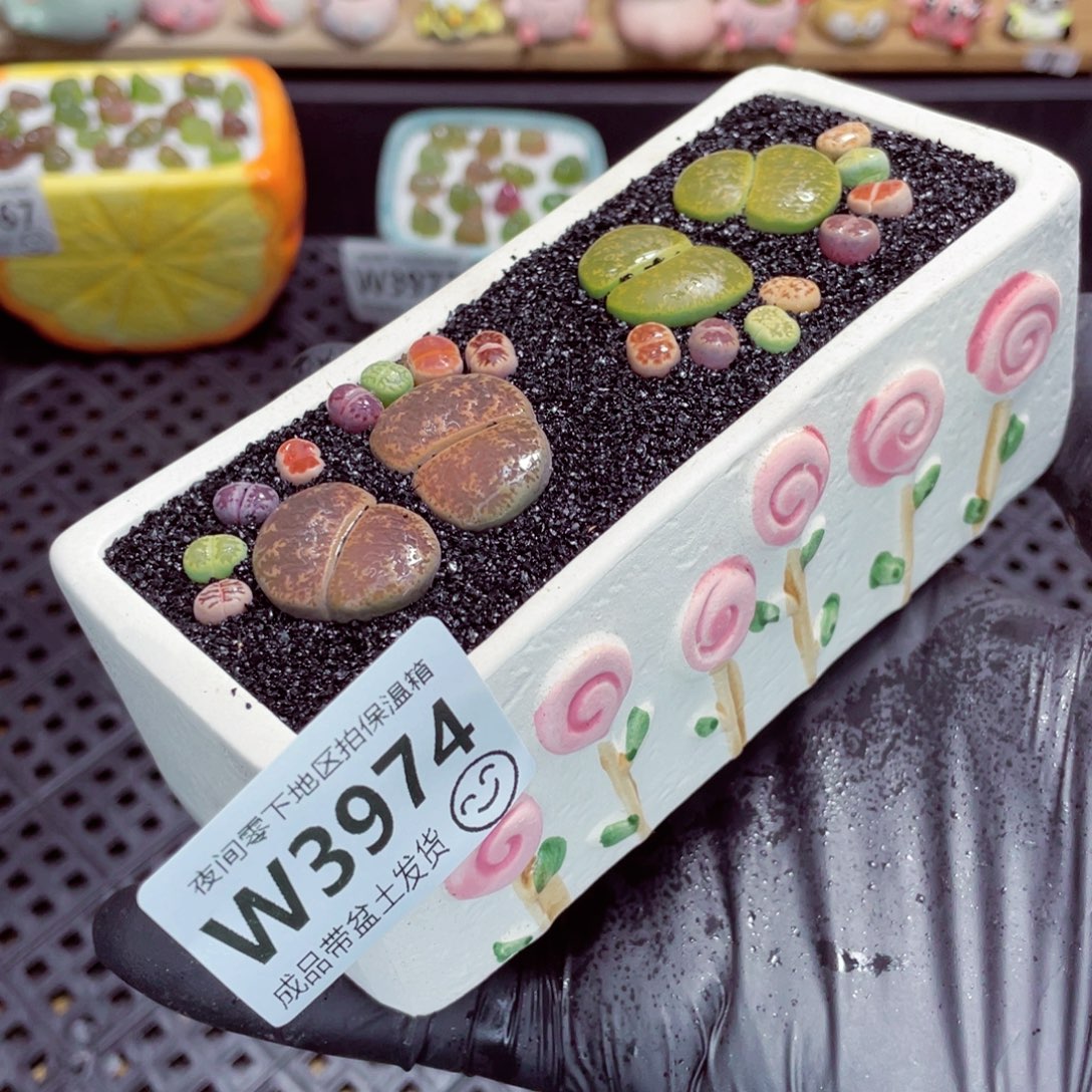 夜间零下地区拍保温箱w3974