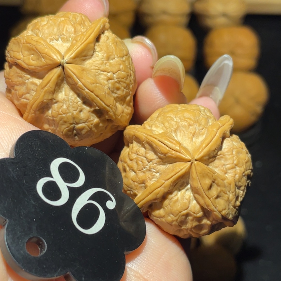 四棱34尺寸核桃。  