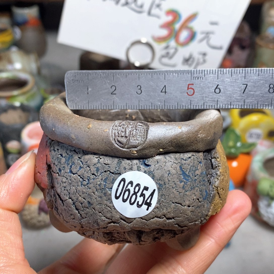 拍3送一个小礼物＇花盆