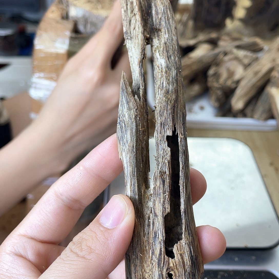 木绿奇楠原材料虫漏10克