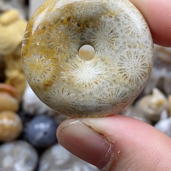 颈饰未镶嵌硅化珊瑚（珊瑚玉）