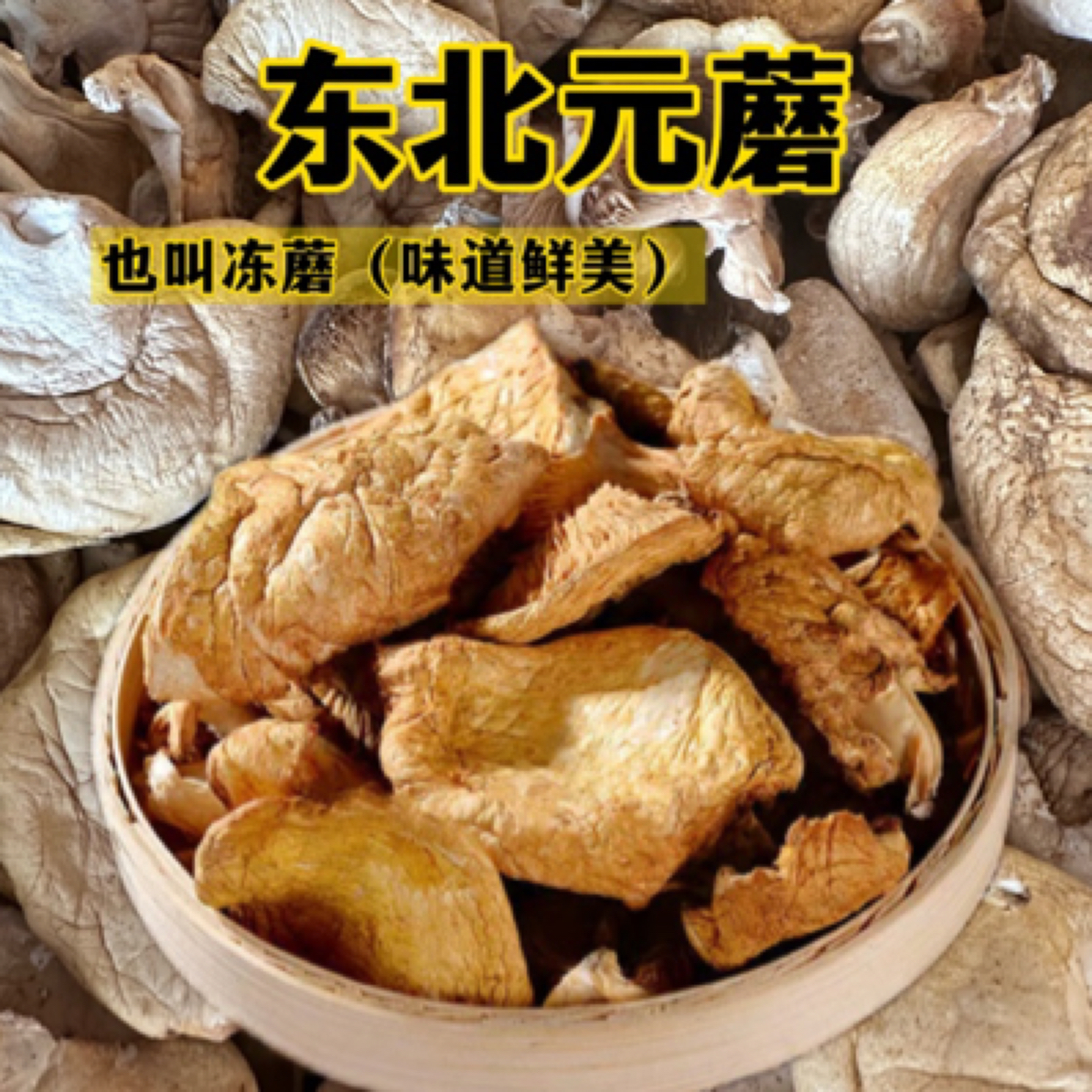 东北元蘑冻蘑黄蘑