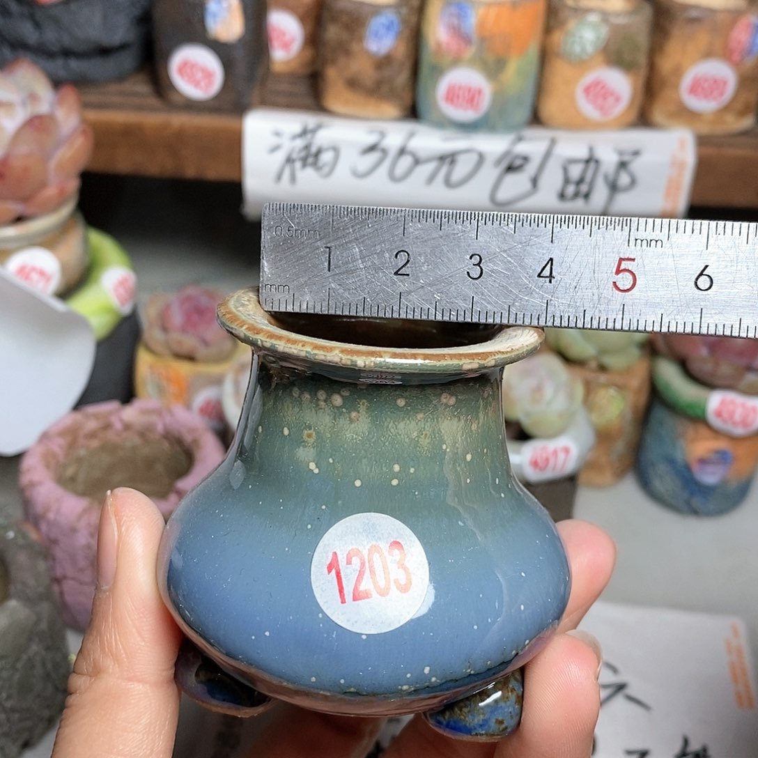 红陶拍5送一个小