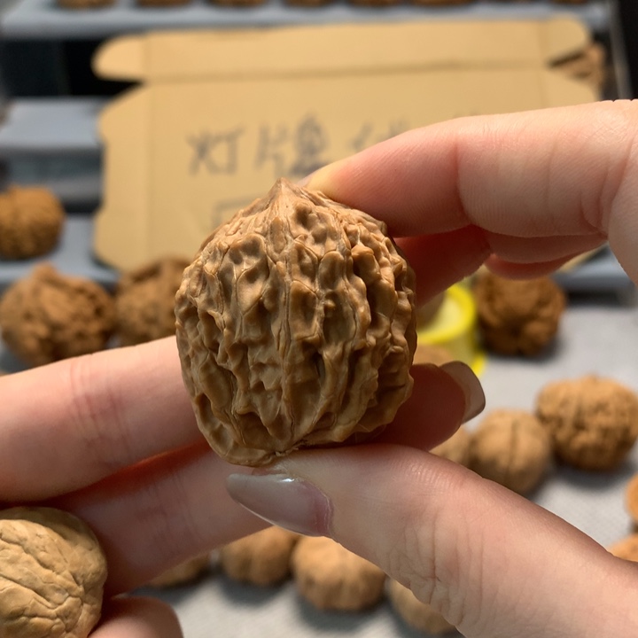 @***东文玩核桃把件异形单只