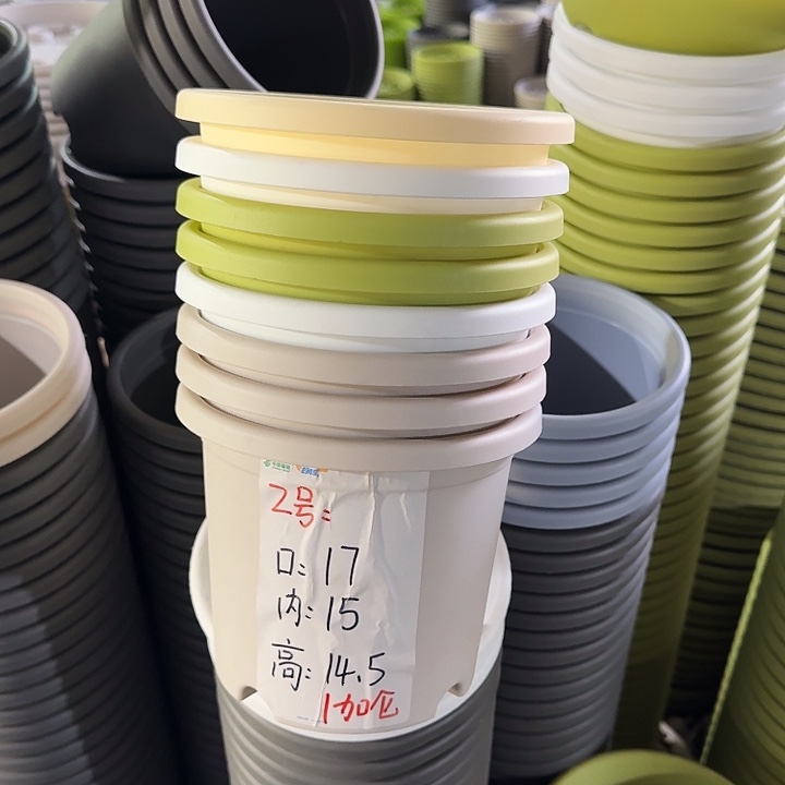 四季2#口径17灰白10个无托