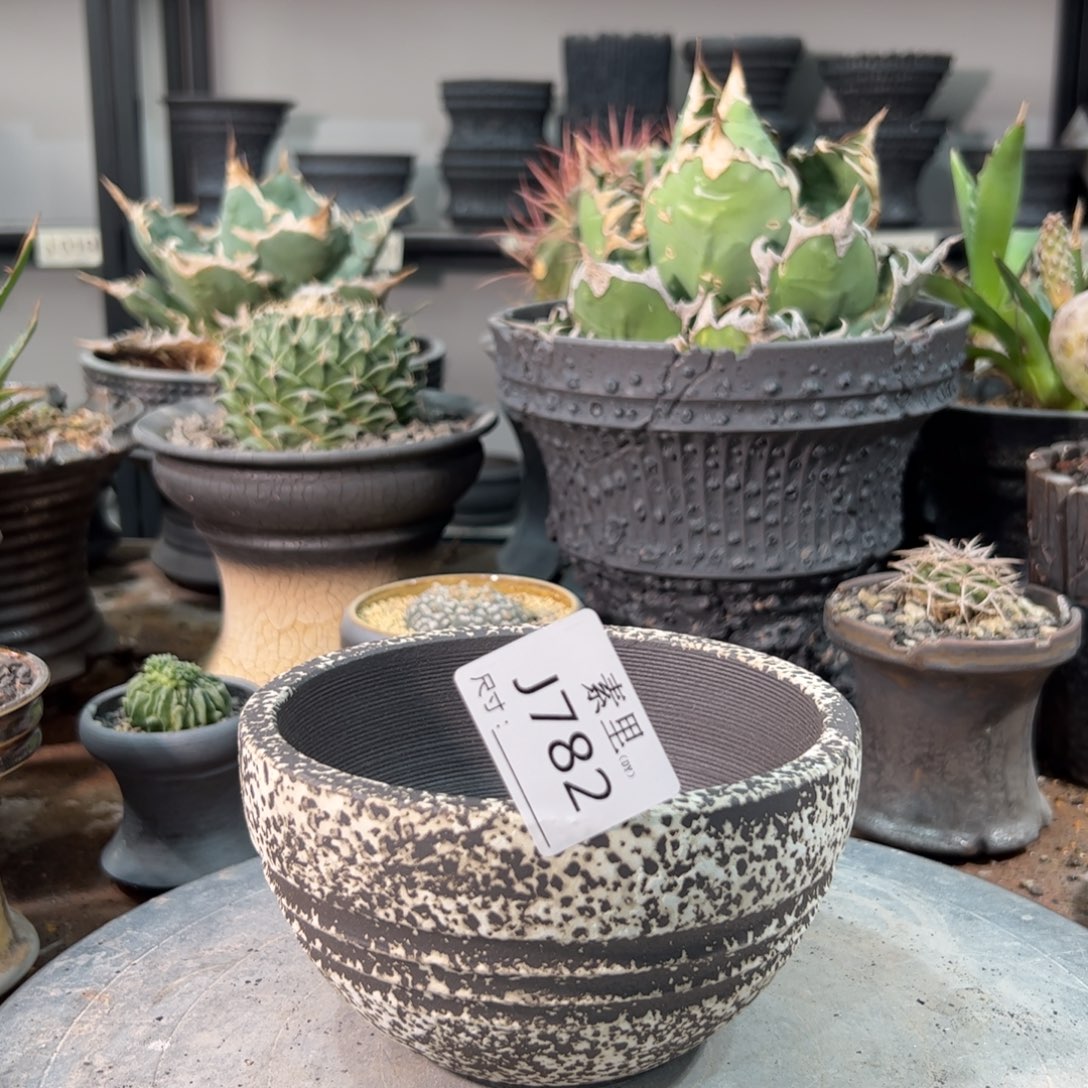 景德镇手工素里内面12.5高8