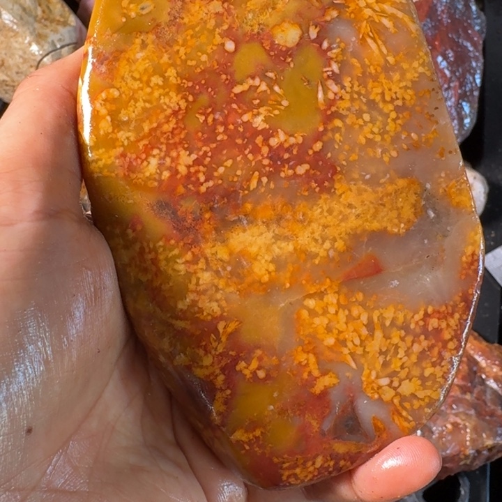 1***李寿山石寿山石的颜色